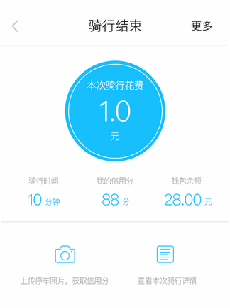 流浪犬如何成长为专业疗愈犬